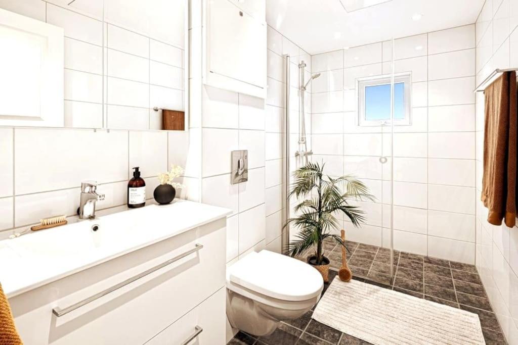 Appartement Private In Centre, Shared Appartment, Free Parking *